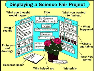 Science Project Chart Paper