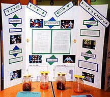 science project topics